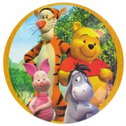 Pooh Party Plates - Large 23cm Pk8 