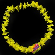 Lei Flower Yellow Pk1 