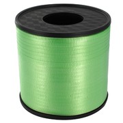Ribbon Curling  500Yds 5mm Mint Green Pk1 