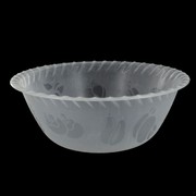 Frosted Plastic Bowl - Large 25.5cm Pk1 