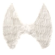 Angel Party Wings - White With Feathers Pk1 