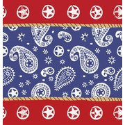 Plastic Tablecover Western Lasso Pk1