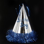 Hat Boy Glitter Party Pk1 
