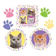 Purr-ty Time! Party Decorations - Assorted Cutouts Pk7