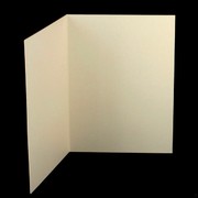 Bi-Fold Card Pack C6 Curious Metallic White Gold Pk20 