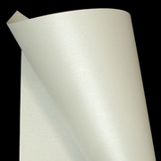 A4 Paper 120gsm Curious Metallic Ice Silver Pk20 