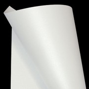 A4 Board 300gsm Curious Metallic Ice Silver Pk20 