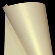 A4 Paper 120gsm Curious Metallic White Gold Pk20  