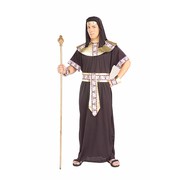 Egyptian Pharaoh Costume (Adult) - Pk 1 