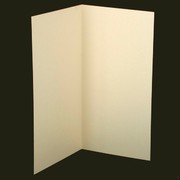 Bi-Fold Card Pack DL Curious Metallic White Gold Pk20 