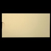 DL Sleeve Pack Curious Metallic White Gold Pk20 