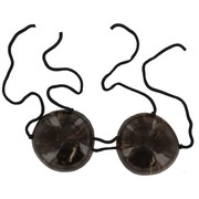 Bikini Top Coconut Hawaiian Large Pk1 