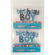 Birthday Boy Party Candle Pk1 