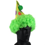 Green Clown Hat With Hair Pk 1 