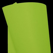 A4 Paper 100gsm Kaskad Parakeet Green Pk20 