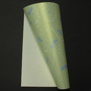 A4 Sheet Paper Dragonfly Pk10 