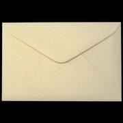 Envelope E14 100 x 150 (B) Ivory Gold Pk10 