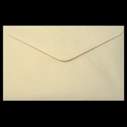 Envelope E18 120 x 190 (B) Ivory Gold Pk10 