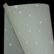 A4 Sheet Sheer Twinkle Star Pk10 