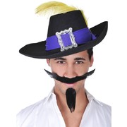 Musketeer Hat With Feather Pk 1