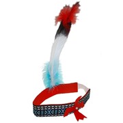 Indian Headband with Feather Pk1 
