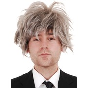Albert Grey Wig Pk1