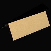 Place Card Pack Curious Metallic Gold Leaf Pk10 