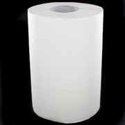 Towels Paper Hand Roll 100mx19cm Pk1 