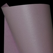 A4 Paper 120gsm Stardream Amethyst Pk20 