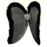 Wings & Halo Angel Black With Feathers Pk1 