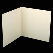 Bi-Fold Card Pack 120 x 120 Curious Metallic Ice Gold Pk20 