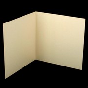 Bi-Fold Card Pack 120 x 120 Curious Metallic White Gold Pk20 