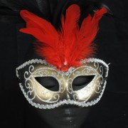 Black & Gold Masquerade Mask With Red & Black Feathers Pk 1 