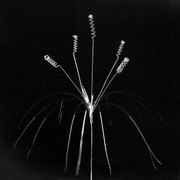 Pick Onions Curl Silver Pk1 