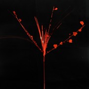 Pick Onions Heart Red Pk1 