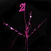 Pick Onions with Number Top 21 Hot Pink Pk1