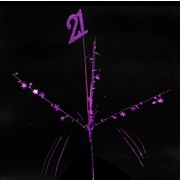 Pick Onions with Number Top 21 Purple Pk1 