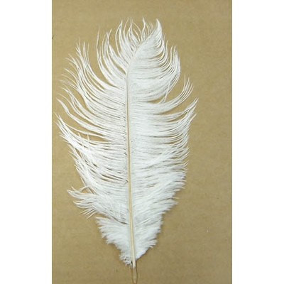 White Ostrich Feather (30cm) Pk 1