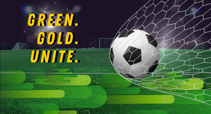World Cup Soccer Fever