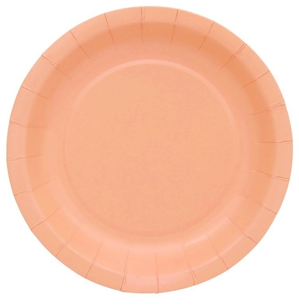 Coloured Paper Plates Party Plates