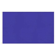 Blue Flag 90x150cm 3x5ft with Eyelets | Sports Supporter Event Costume Flag