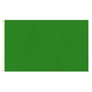 Green Flag 90x150cm 3x5ft with Eyelets | Sports Supporter Costume Flag