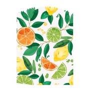 Citrus Fruit Paper Treat Bags with Seals Pk 6