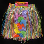 Hawaiian Luau Hula Skirt & Lei Set Child Pk1 