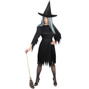 Halloween Adult Spooky Witch Costume (Large, 16-18)