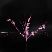 Butterfly Party Pick Onion - Light Pink Pk 1 