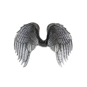 Black Printed Feather Design Wings (45x61cm)