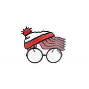 Missing Wally Novelty Glasses