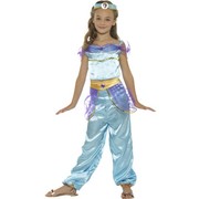 Child Arabian Princess Costume (Large, 10-12 Years)