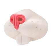 Bunny Rabbit Nose & Teeth Costume Accessory with Elastic Strap